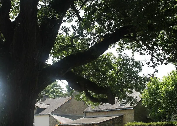 Les 3 Petits Porcelets Casa de Férias *